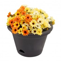 18441 - garden up terrace pot with flowers